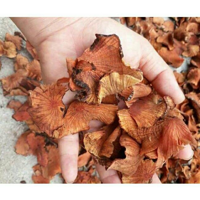 1kg củ khúc khắc khô