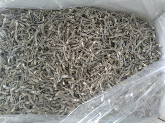 500gr Cá cơm khô xuất khẩu