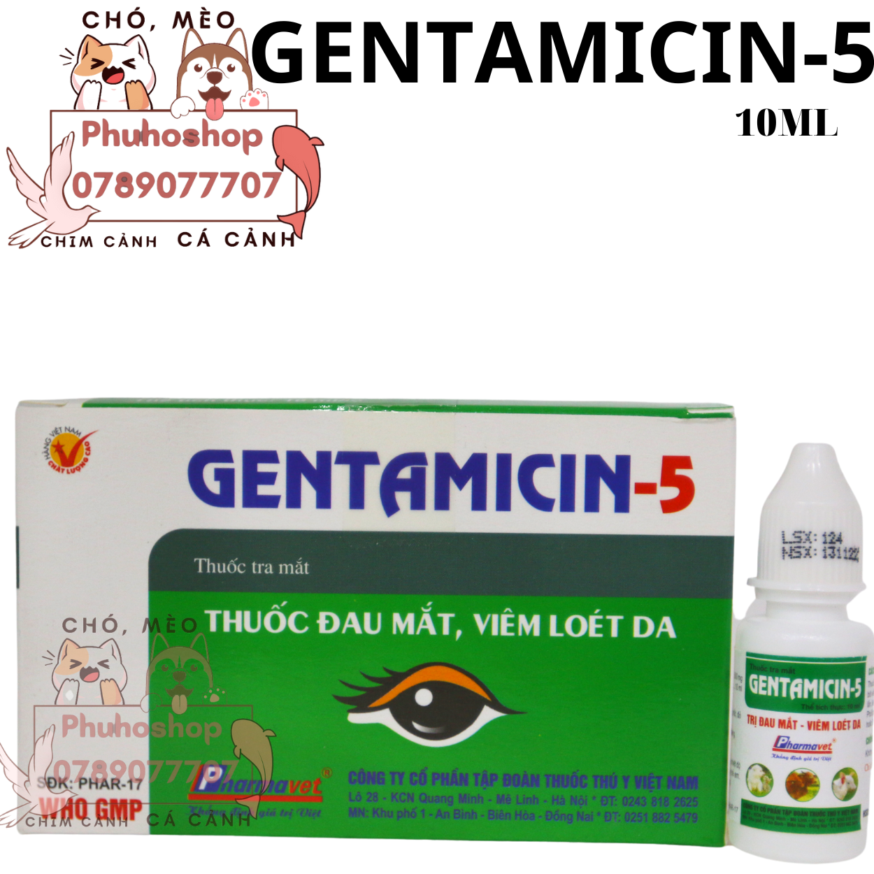 FREESHIP MAX Gentamicin 5 10ml phòng đau mắt, viêm kết mạc, chảy nước