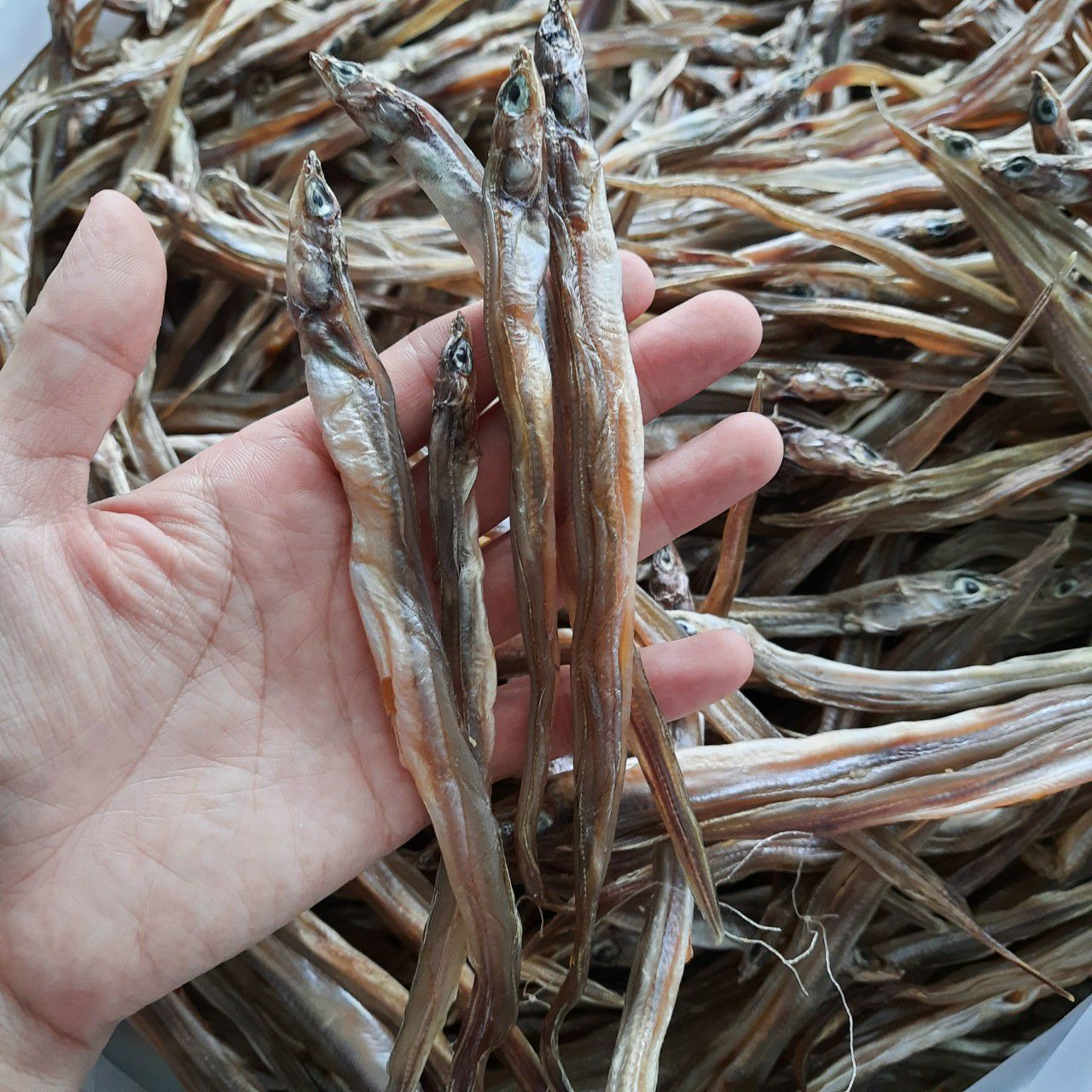 khô cá lãi,(sụn sịn)cá biển phơi bờ gói 500gr