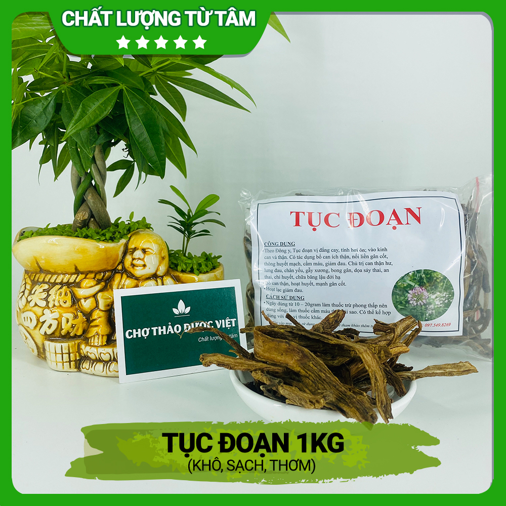 Tục đoạn khô 1kg, hỗ trợ giảm đau xương khớp, bổ can thận, mạnh gân cốt