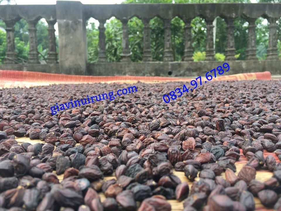 100G HẠT DỔI + 300G HẠT MẮC KHÉN
