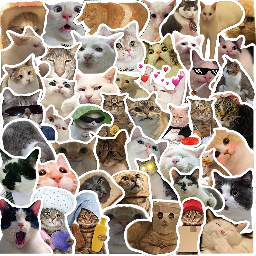 Set 20 50 sticker hình dán meme Mèo hài hước chống thấm nước