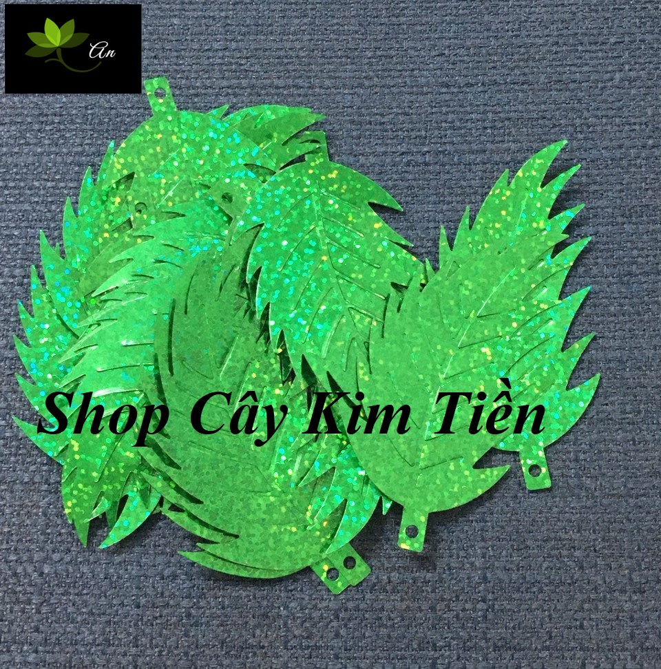 Lá dừa kim sa dài 9cm, rộng 5cm