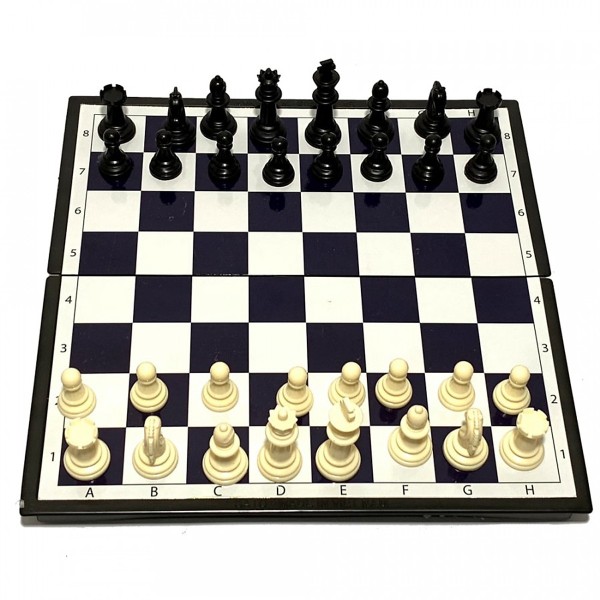 Bộ đồ chơi cờ vua Quốc Tế cao cấp có nam châm và hộp đựng ( Giao mẫu ngẫu nhiên )