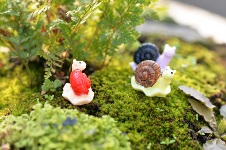 [HCM]Mô hình ốc sên trang trí tiểu cảnh terrarium ( màu ngẫu nhiên )