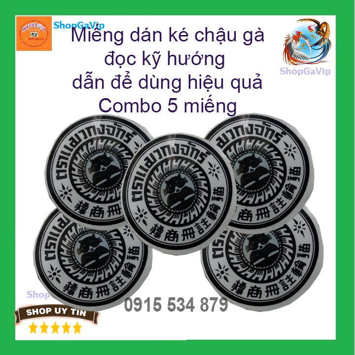 Miếng dán ké chậu gà đá Combo 10 miếng [ShopGaVip]