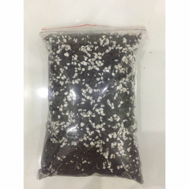 Đất trồng cho sen đá xương rồng cây cảnh