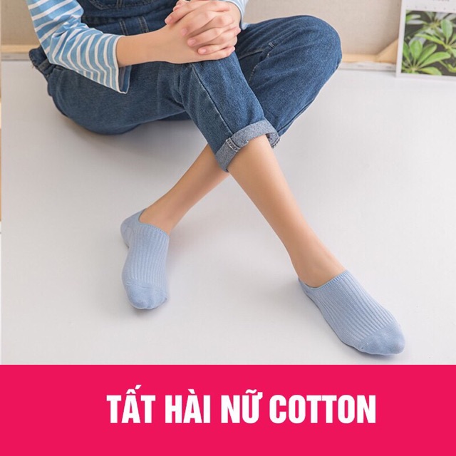 Combo 5 đôi tất hài gân hot hit