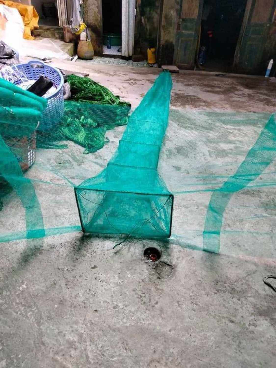 Dớn chặn sông, dớn bắt cá