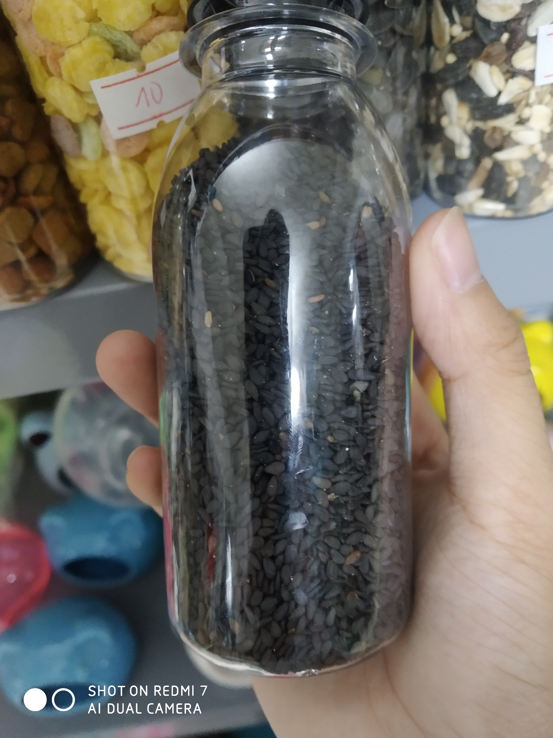 Mè đen cho hamster