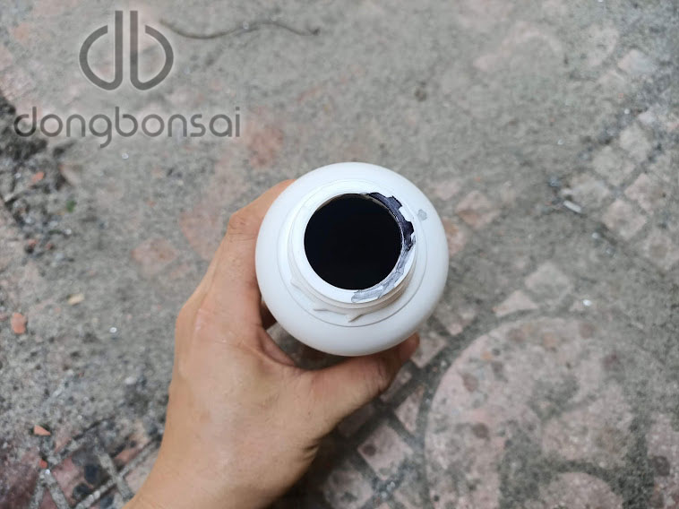 Bôi lũa bonsai màu đen 500ml