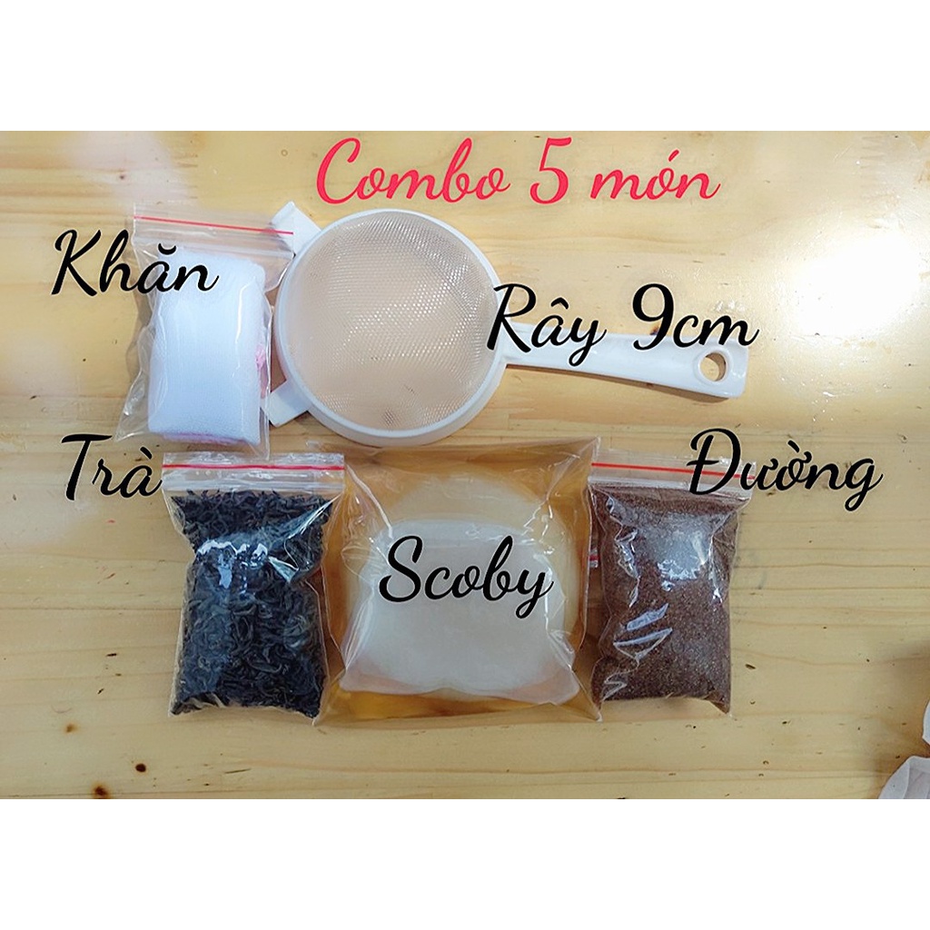 [Mã LIFE121210K giảm 10% đơn 50K] combo 5 món nuôi SCOBY/KOMBUCHA không thể thiếu