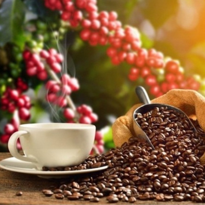 Cà phê hạt rang mộc ROBUSTA & CULI  (mix: 50%ROBUSRA & 50% CULI) rang xay sạch 100% 500g/bịch