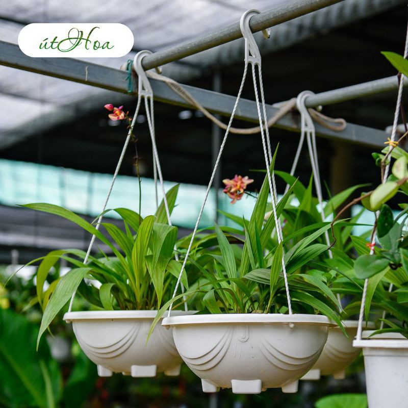 CHẬU CHẢO NHỰA XÍCH (GỒM CẢ CHẬU VÀ DÂY)