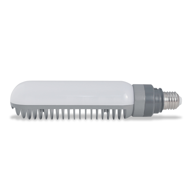 Đèn LED Rạng Đông chiếu sáng ngõ xóm, đường CSD05L 30W