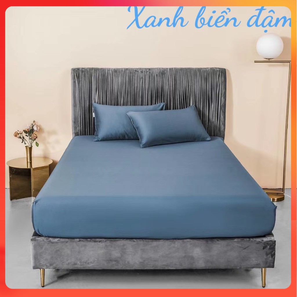 (❣️GIÁ BAY NÓC) Bộ ga gối lụa tencel trơn 60s cao cấp ga giường lụa mát lạnh - nhiều mẫu lựa chọn