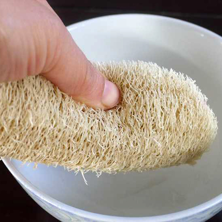 Miếng rửa chén xơ mướp