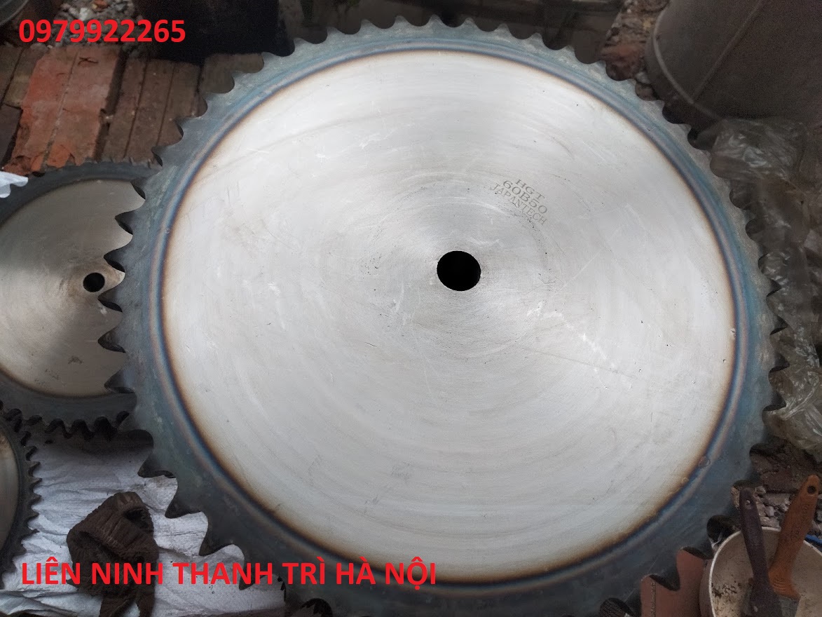 Bánh răng xích 60 b 50 răng. Nhông 60