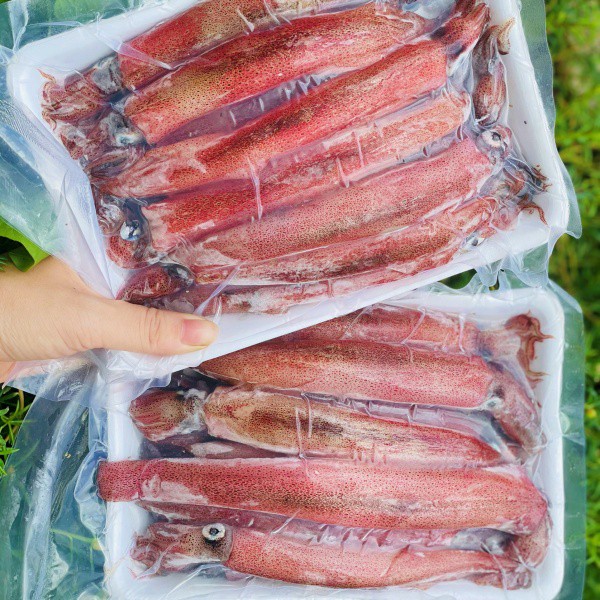 [GIAO NHANH 2H HCM] Giá Sỉ 1Kg Mực Ghim Trứng 12up