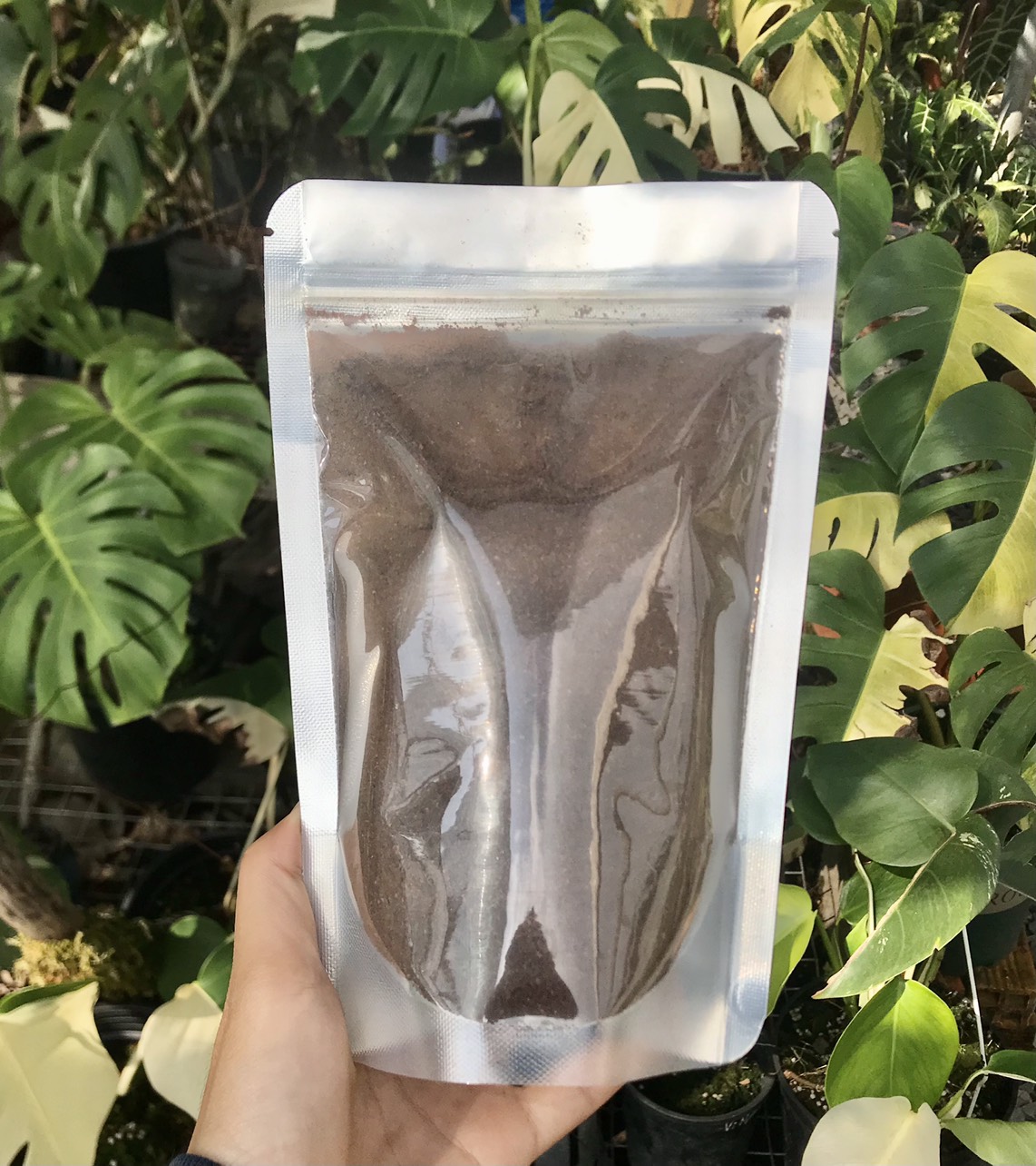 BÁO GIÁ Cafe Truyền Thống | Shopee Lazada Sendo Tiki mới nhất 60 CAFE NGUYÊN CHẤT HƯƠNG VỊ TRUYỀN THỐNG