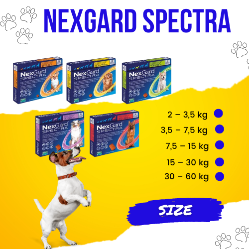 NEXGARD SPECTRA 2-60kg