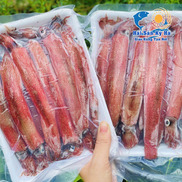 [GIAO NHANH 2H HCM] Giá Sỉ 1Kg Mực Ghim Trứng 12up