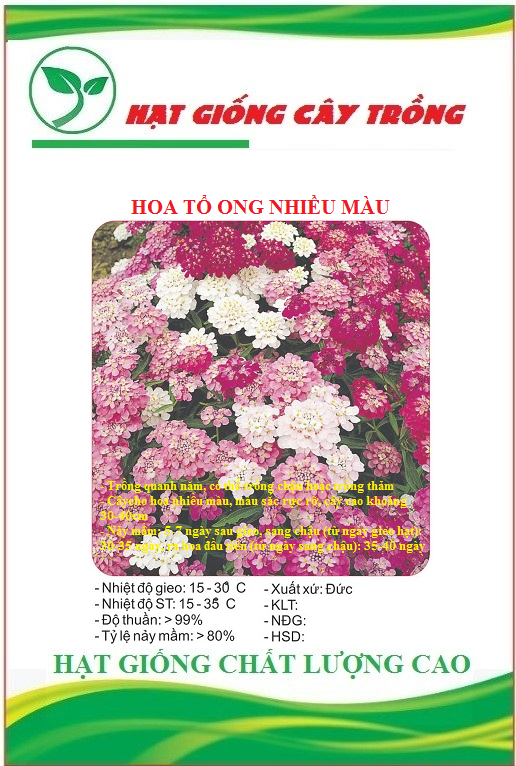 Hạt giống hoa tổ ong nhiều màu ct437 - gói 50 hạt