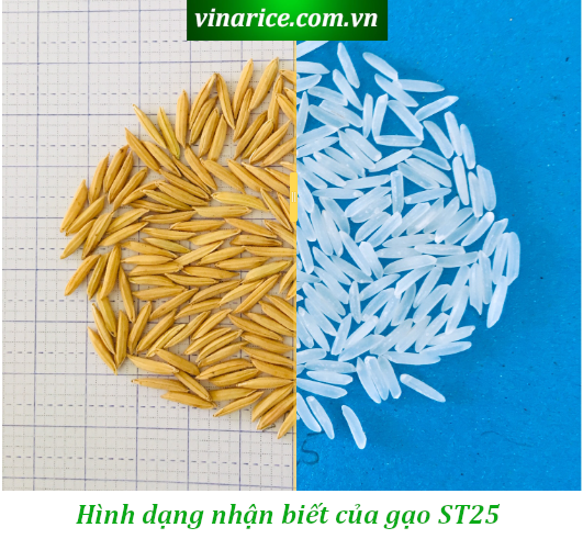 Gạo Đệ Nhất - ST25 ngon nhất thế giới