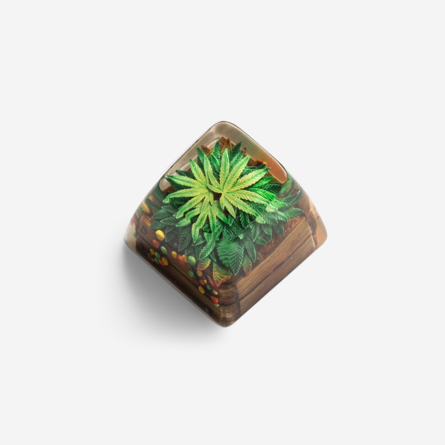 Keycap Artisan bàn phím cơ Dwarf Factory TERRARIUM V2  - Hàng chính hãng