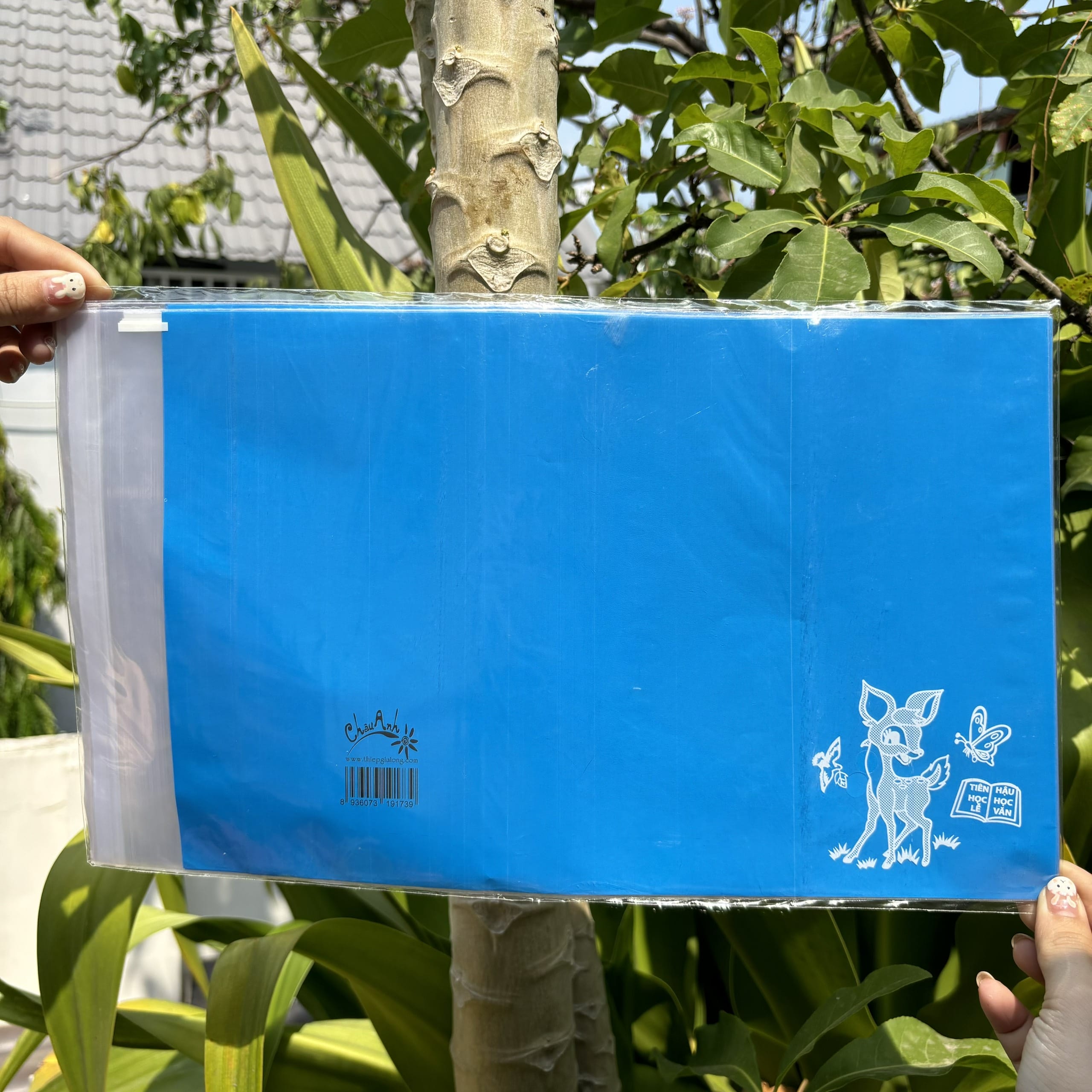 COMBO 10 tờ bao tập nilon giấy màu thủ công (15.5x20.5cm)