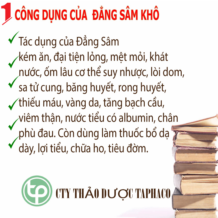 Đẳng sâm khô 500g, Đảng sâm khô, Lộ đẳng sâm - Tấn Phát