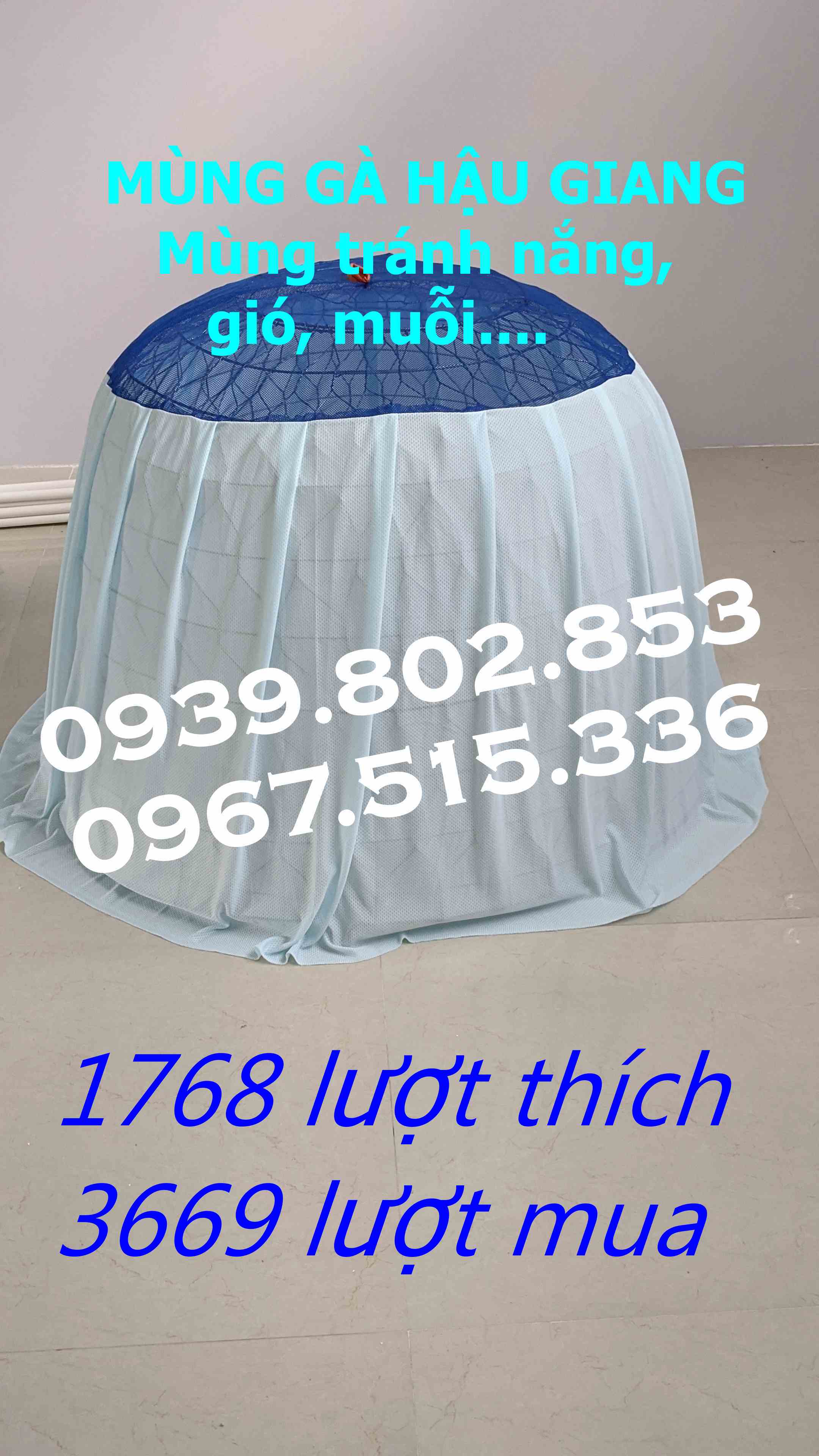 10 mùng trùm bội gà tre 90cm