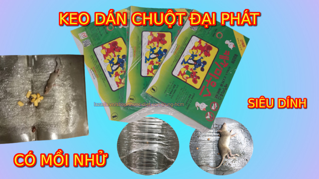 Combo 10 miếng Bẫy keo dính Chuột keo dán Chuột Đại Phát - Siêu Dính - An
