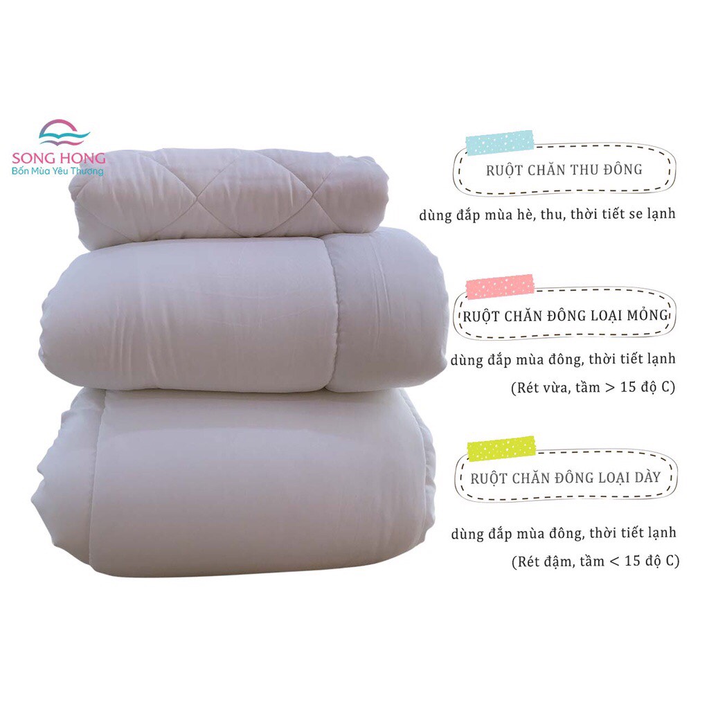 Ruột chăn Sông Hồng loại mỏng