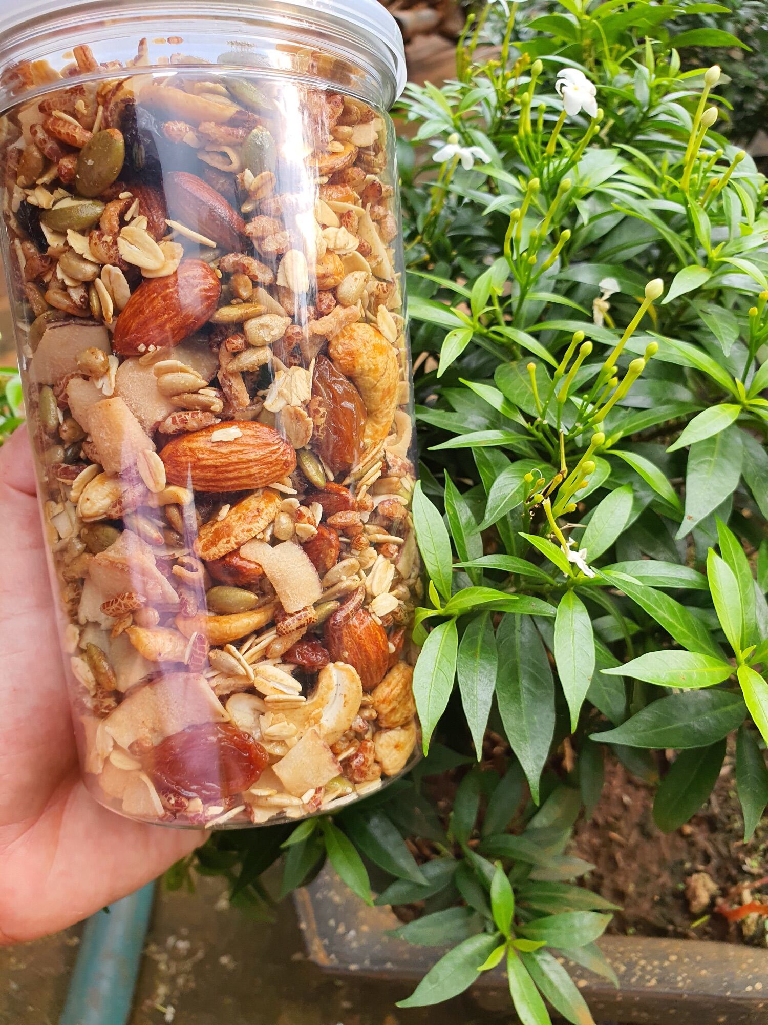 Ngũ cốc Granola full hạt (8 loại hạt) 80% hạt  500gr