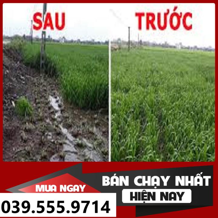 Hạt Cỏ Chăn Nuôi Chịu Ngập Upon Paspalum 200gam