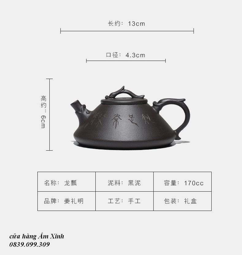 Ấm Tử Sa Nghi Hưng Long Biều 170 ml (nguyên khoáng Hắc Nê)
