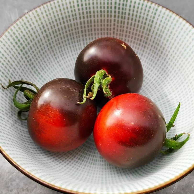 [HCM]Hạt giống Cà chua cherry đen
