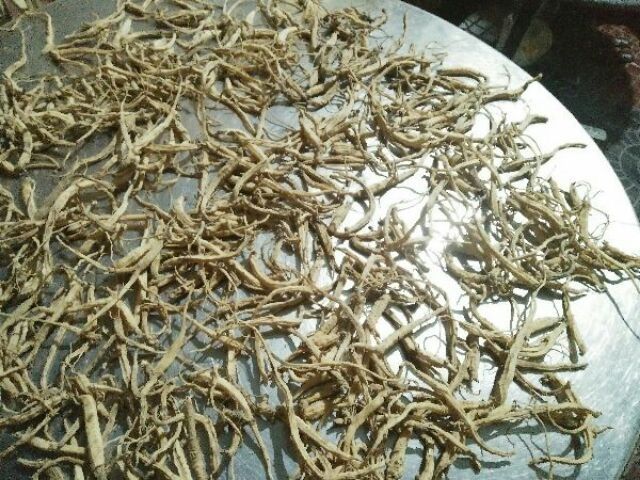 Đẳng Sâm Rừng Khô 1kg