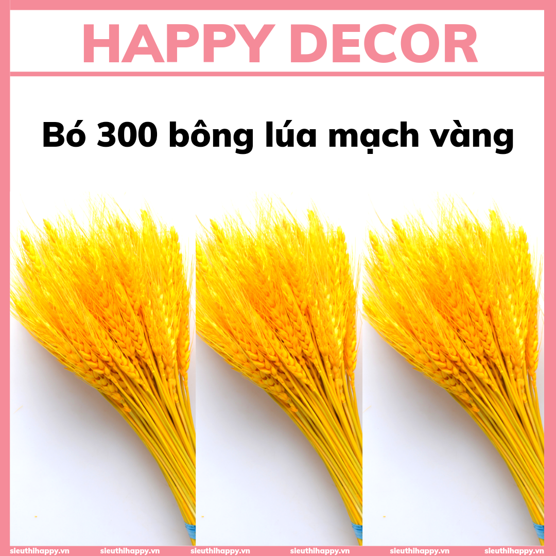 HAPPY DECOR] 300 Bông lúa mạch vàng sấy khô tự nhiên, bông lúa tài ...