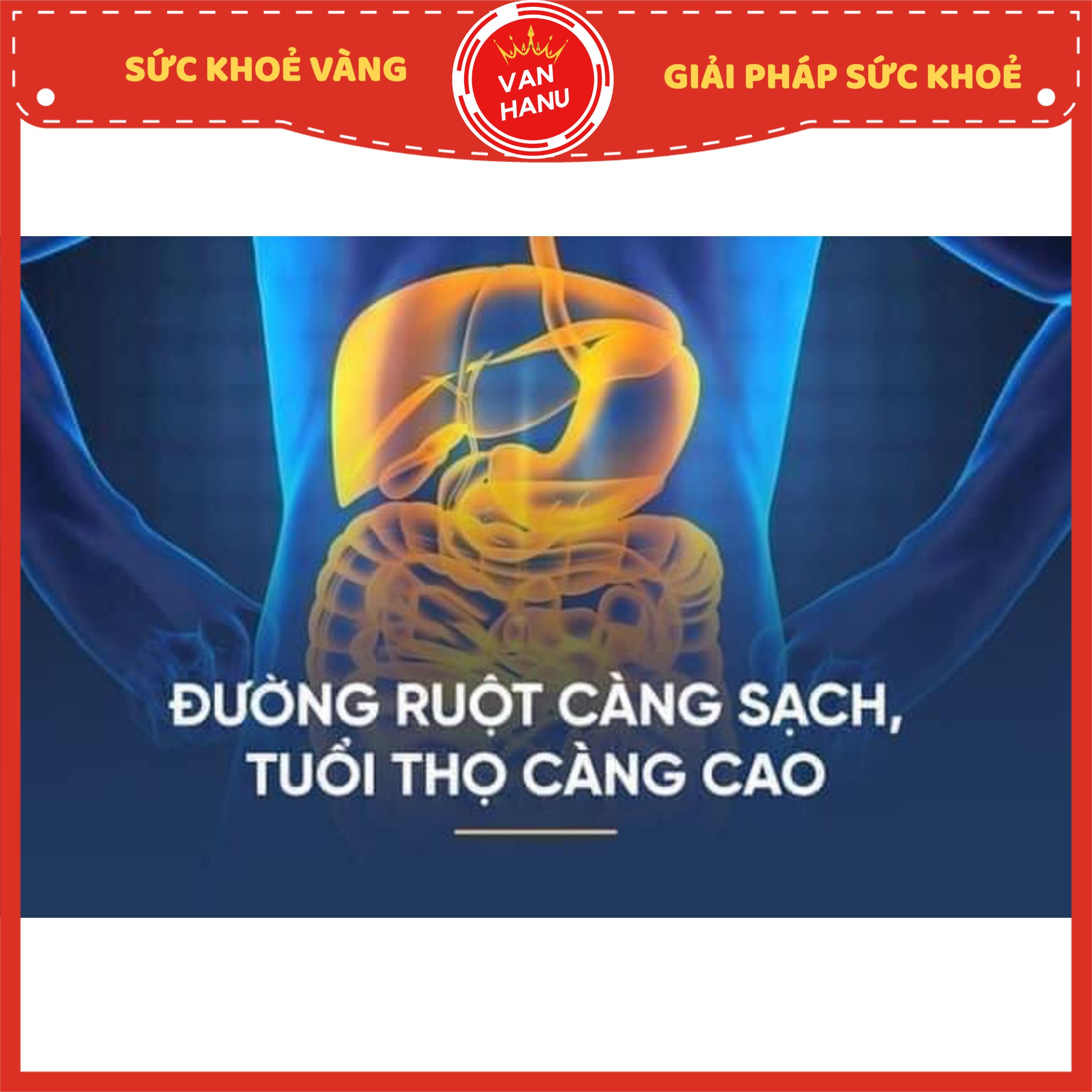 Trà Thải Độc Ruột Già - lifiber - VanHanu - Sức Khoẻ Vàng