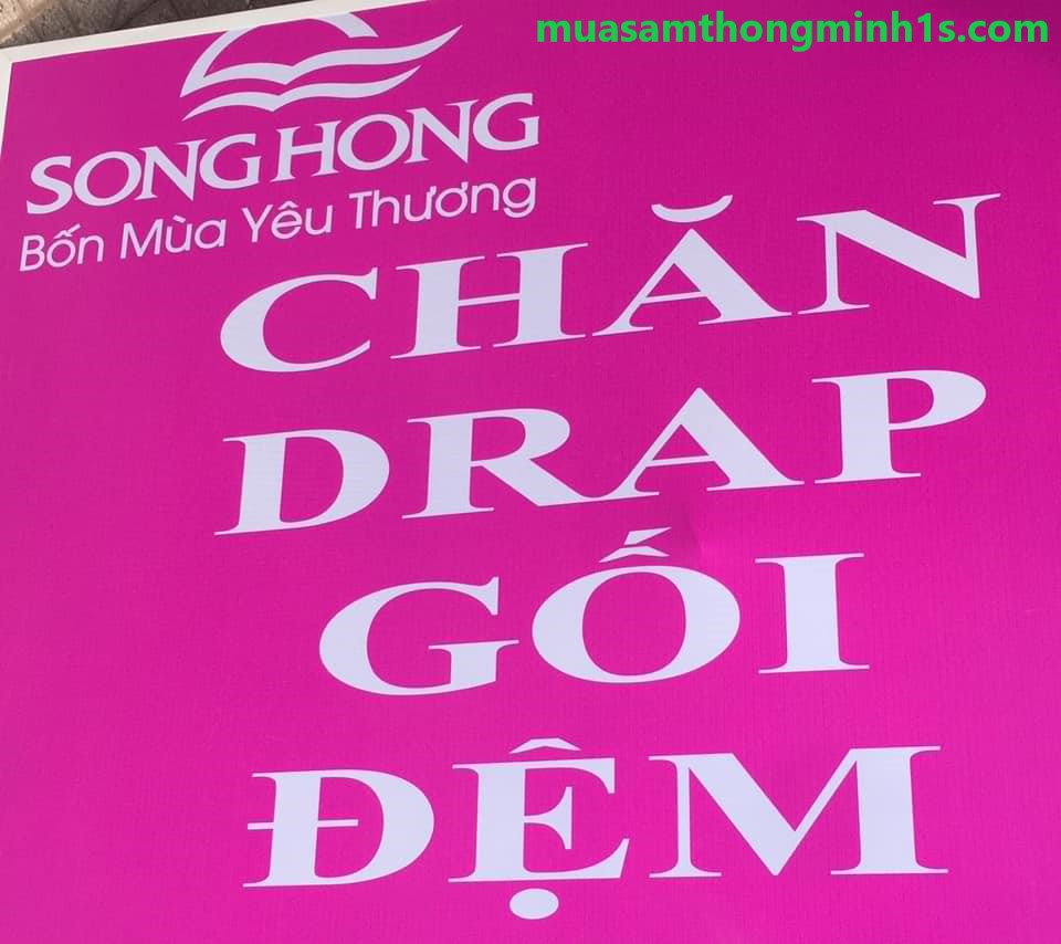 Bộ chăn drap