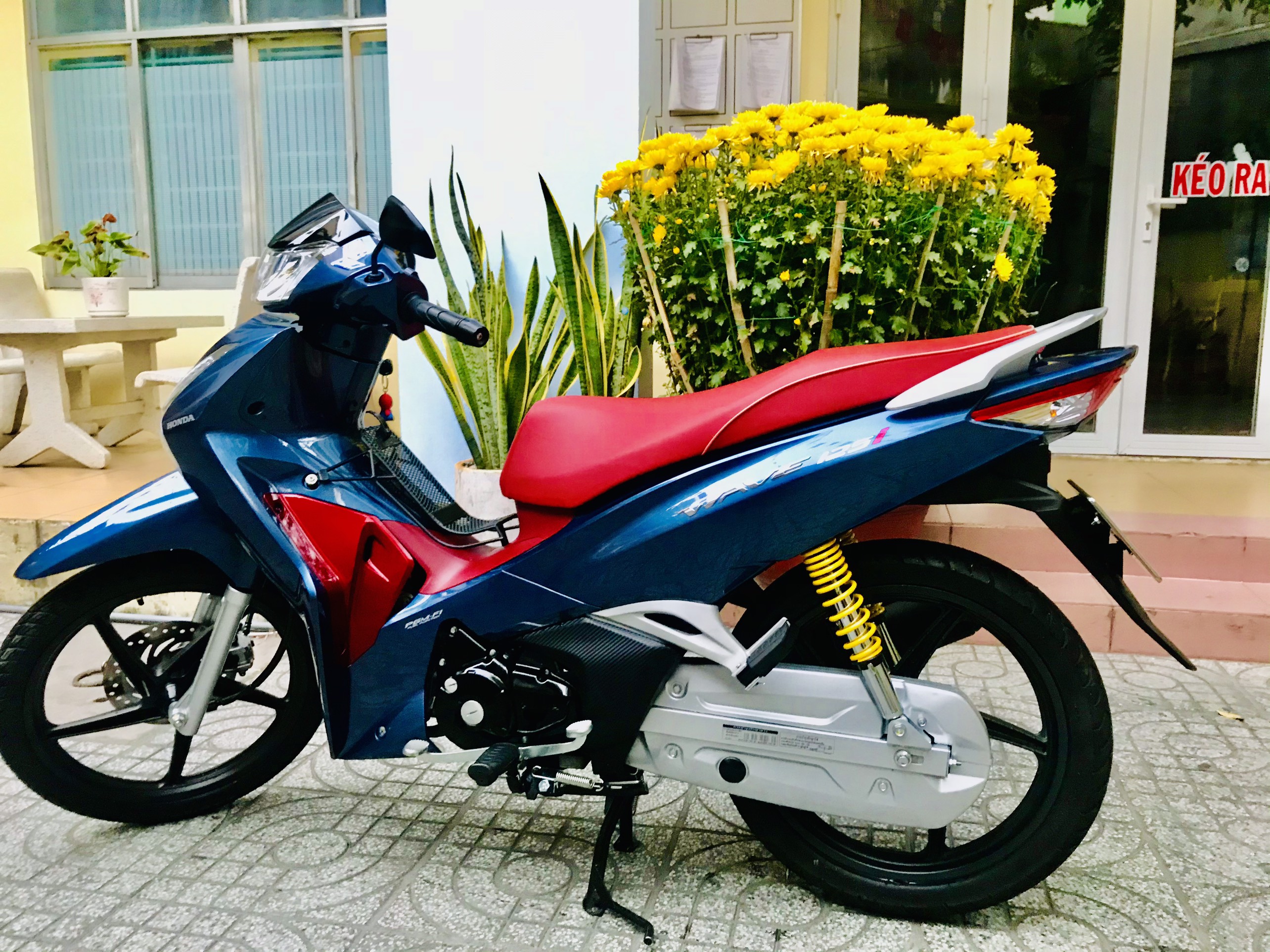 Baga lưới Thái đời 2018-2022 dành cho future 125i, Wave 125i