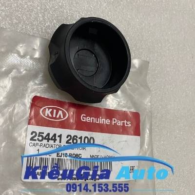 Nắp bình nước phụ Hyundai i20