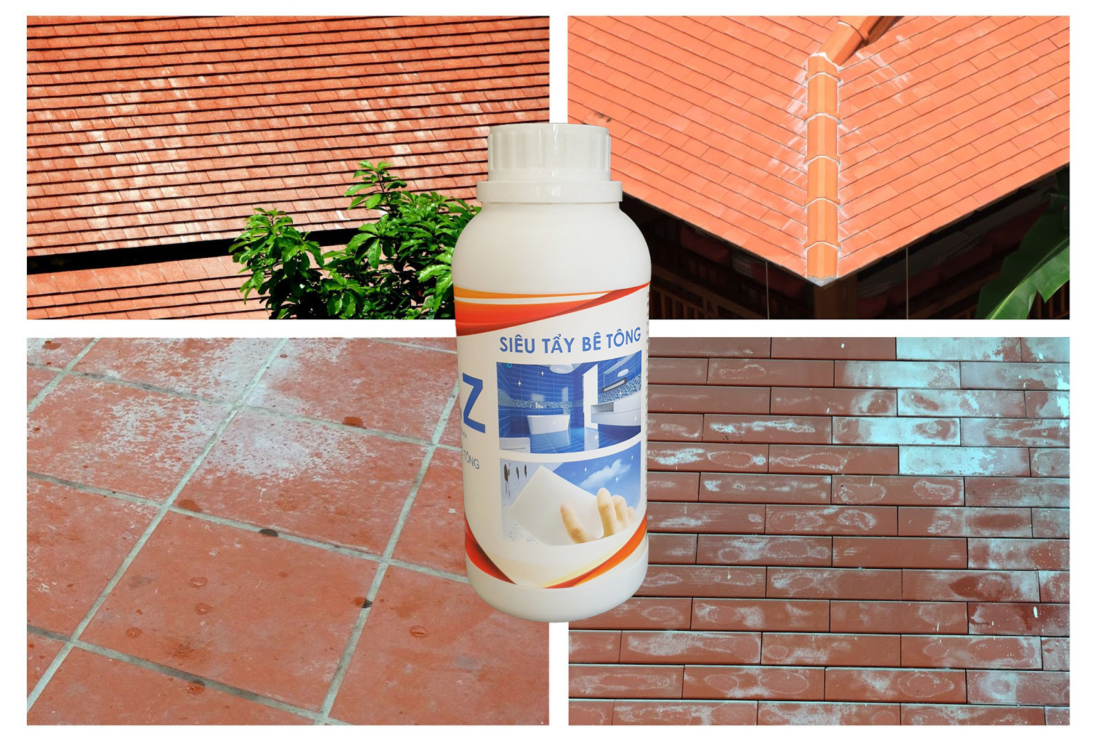 Dung dịch tẩy bê tông - xi măng - 500ML