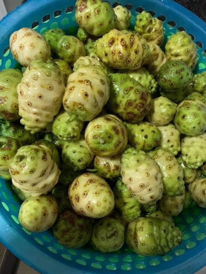 [HCM]1KG Nhàu khô loại 1