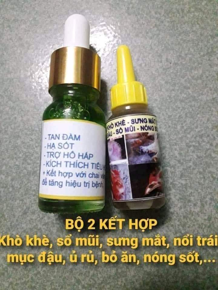 Khò khè, chướng diều