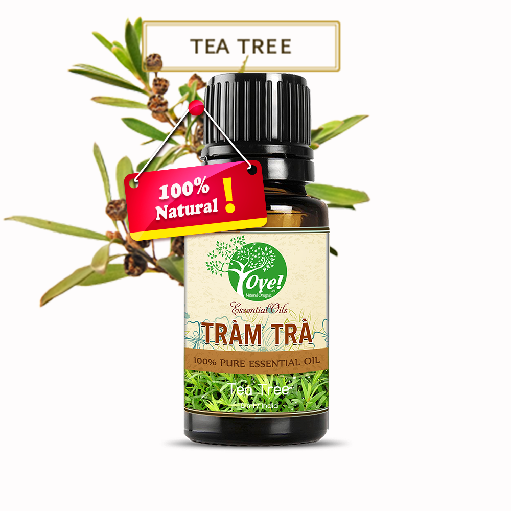 Tinh Dầu Tràm Trà  Đuỗi Muỗi - OYe 10ml