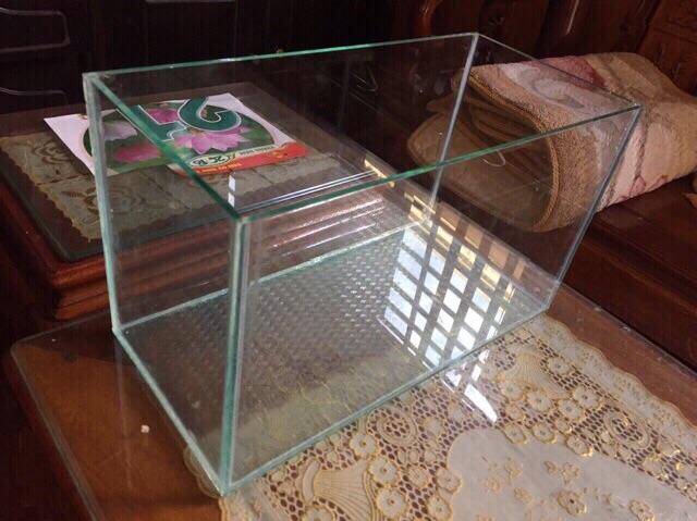 Bể cá size trung giá rẻ ( tặng  cây nhựa + thức ăn cá)